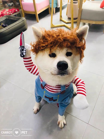 Fantasia de Halloween para Pets Vestido para Cães Pequenos e Médios – Roupa Divertida e Estilosa para Cães Gatos Brincarem com Roupas Engraçadas