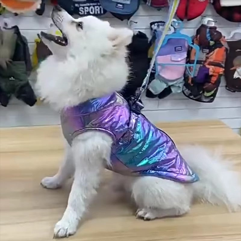 Colete impermeável, refletivo, de cor gradiente com forro de lã para roupas quentes para pets, casaco quente para cães, roupas para gatos, suprimentos para pets