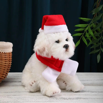 Conjunto de Fantasia de Natal para Pets, Gorro e Cachecol Ajustáveis de Papai Noel para Cães Pequenos, Gatos e Filhotes, Acessórios para Fotos de Festas