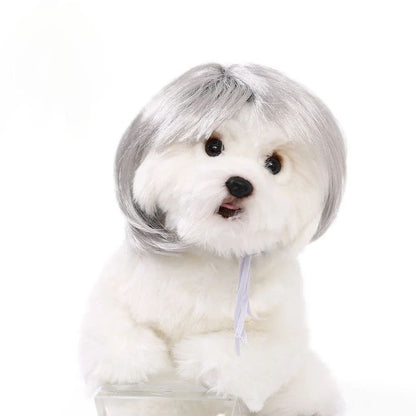 Peruca para Animais de Estimação, Peruca para Cachorro, Suprimentos para Animais de Estimação, Acessórios de Halloween para Animais de Estimação, Peruca de Cabelo Cacheado, Cabelo Liso, Peruca para Gato, Pode Ser Aparada (DIY)