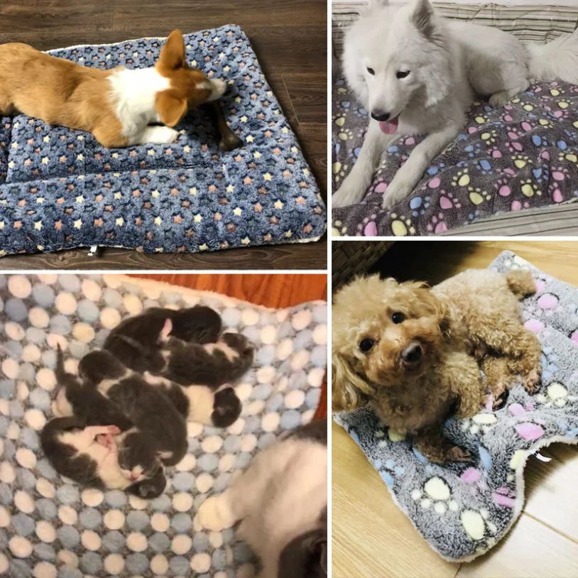 Tapete para Animais de Estimação Espessado Outono/Inverno Canil Quente Manta para Gatos/Cães Tapete Antiderrapante de Flanela Macia de Algodão para Cães Pequenos e Grandes