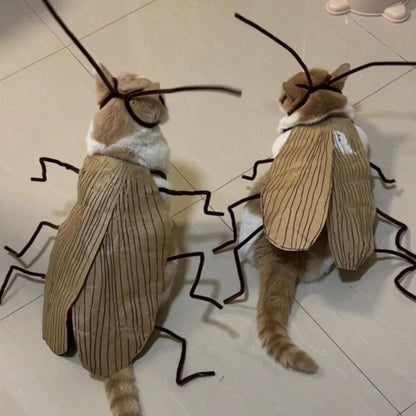 1 pacote de Fantasia de Gato de Barata, para RPG, Material para DIY Fácil, Fantasia Respirável para Pet