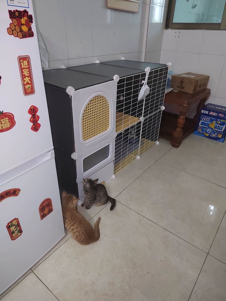 Gaiolas Grandes para Gatos com Cama e Caixa de Areia Casa de Gatos Interna de Vários Níveis Espaçosa Vila para Animais de Estimação 3 em 1 Cercadinho Espaçoso com Área de Descanso