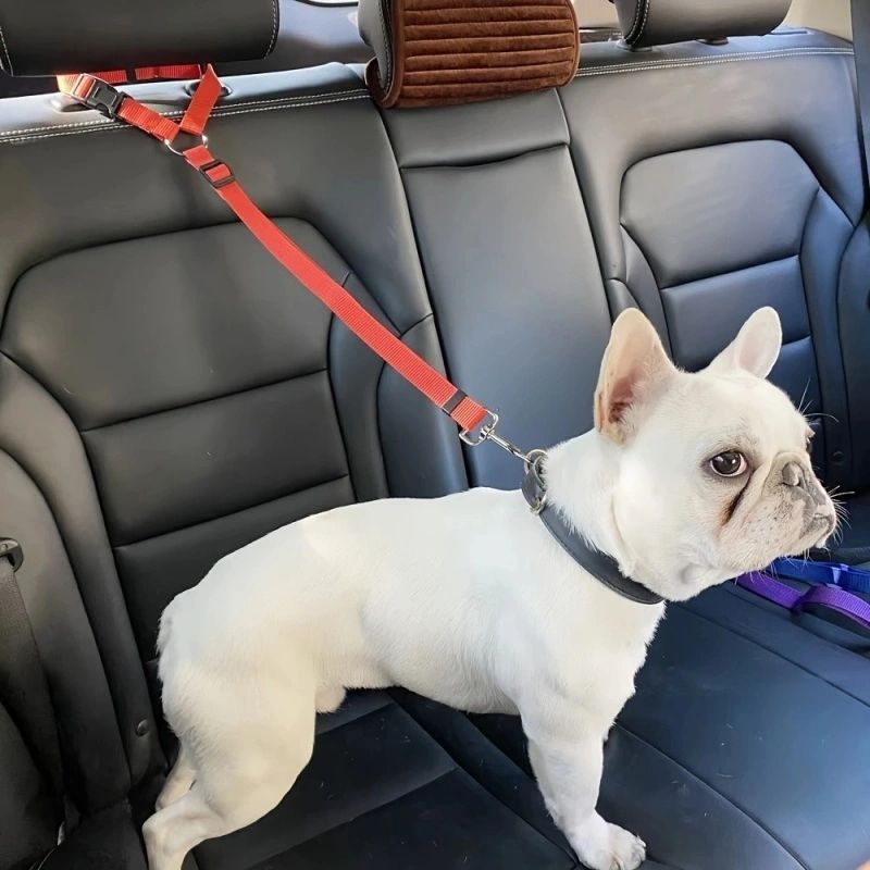 Solid Color Two-in-one Pet Car Seat Belt Nylon Lead Leash Backseat Safety Belt Adjustable Dogs Harness Collar Pet Accessories