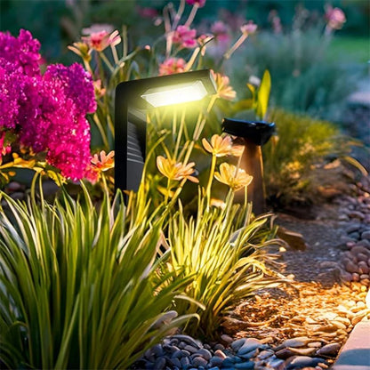 Solar Powered Waterproof LED Light for Yard Walkway Solar Garden Light Garden Decoration Solar Led Light Outdoor Solar Light