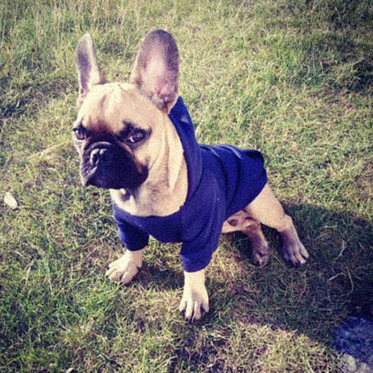 Moletons Sólidos para Cães Roupas para Pets Pequenos Casacos Jaquetas Moletom para Chihuahua Fantasia de Gato Roupinhas de Algodão para Pets