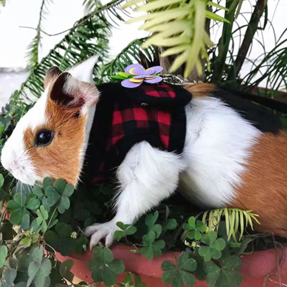 Coleira Ajustável para Porquinho-da-Índia Guia de Tração para Exterior Hamster Chinchila Ratos Furão Coelho Acessórios para Pequenos Animais de Estimação