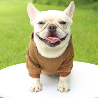 Roupa de Cachorro da Moda Outono e Inverno Roupa de Estimação Pequena Engrossar Quente Cor Sólida Moletom de Duas Pernas com Capuz Produtos Casuais para Pets