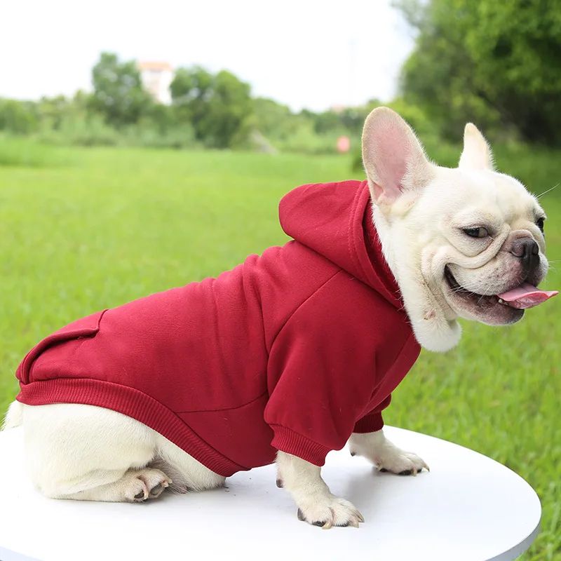 Roupa de Cachorro da Moda Outono e Inverno Roupa de Estimação Pequena Engrossar Quente Cor Sólida Moletom de Duas Pernas com Capuz Produtos Casuais para Pets