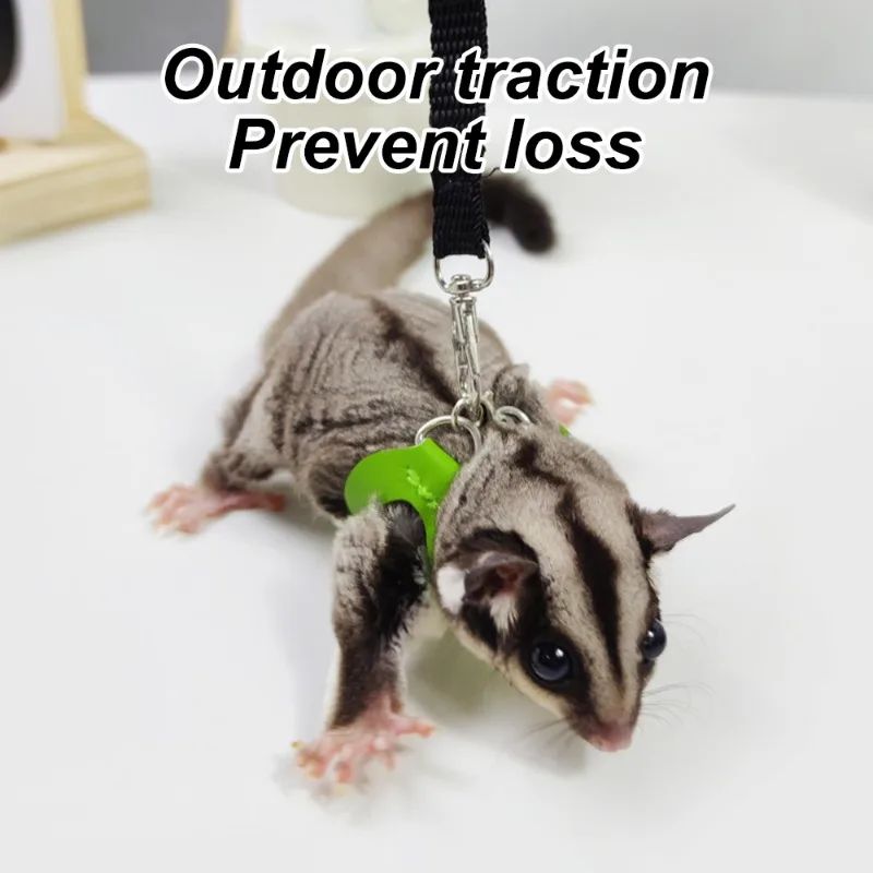 4 peças/conjunto de coleira + guia Sugar Quoll à prova de fugas ajustável para animais de estimação pequenos, hamsters, sugar gliders, esquilos
