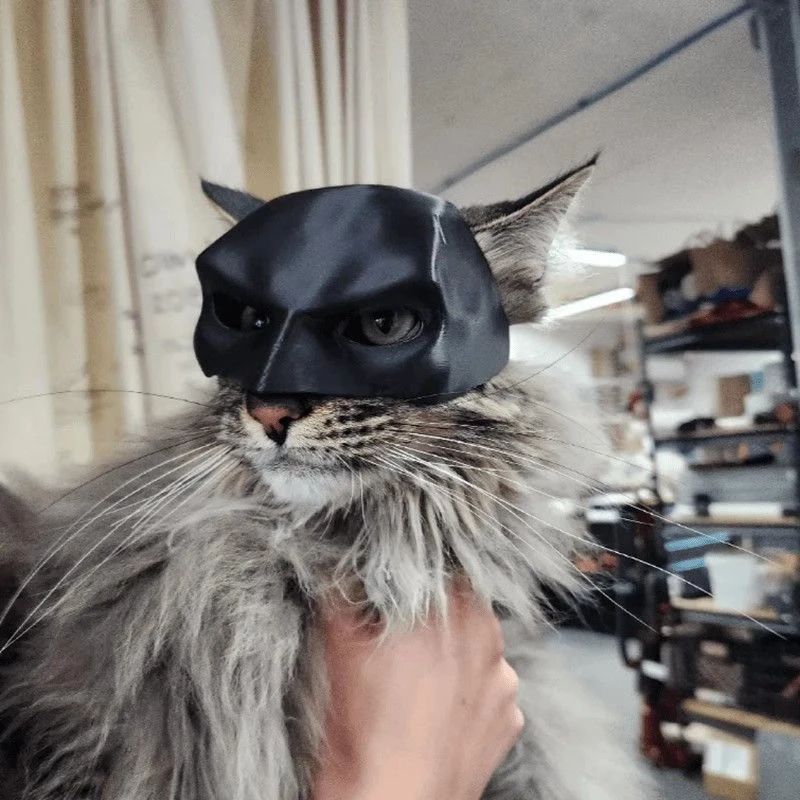 Máscara de Gato Preto Vingador Chapéu de Fantasia de Halloween com Orelhas para Animais de Estimação Acessórios Engraçados para Fotos de Festa