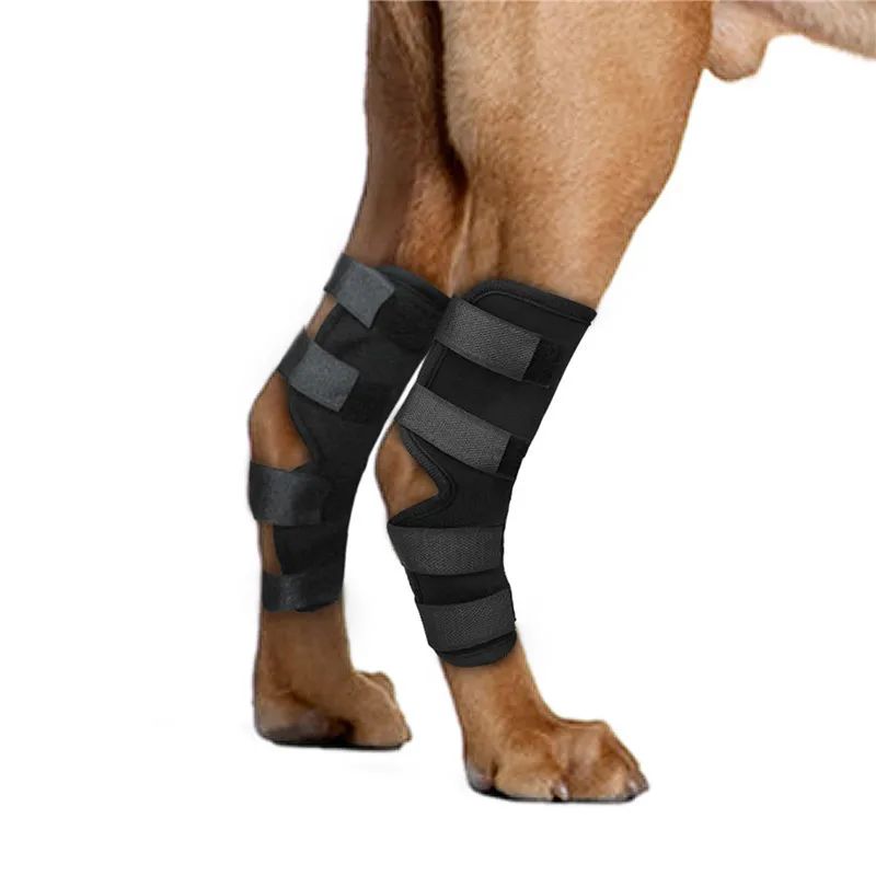 1 par de joelheiras de suporte para animais de estimação – Protetores de articulação de jarrete para recuperação de lesões e proteção da mobilidade de cães
