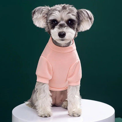 Cachorros Inverno Roupa Fofa Filhote Blusão Quente Casaco de Urso para Cães Pequenos e Médios Gatos Casaco Fantasia de Chihuahua