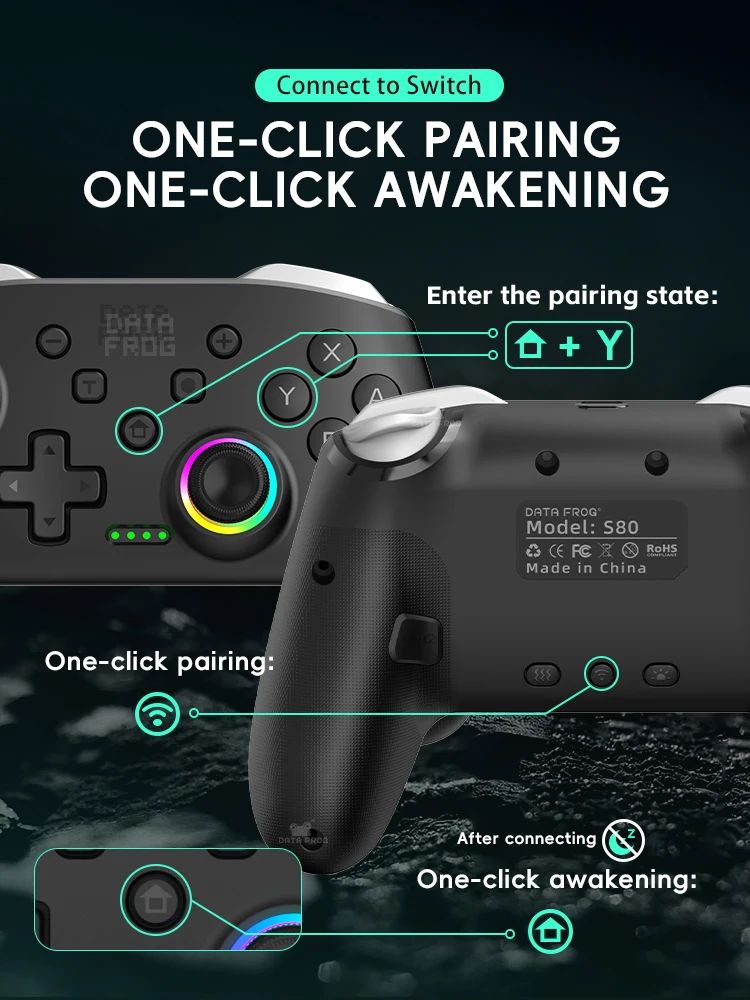 DATA FROG 2Pcs Wireless Pro Controller For Switch OLED/Switch Lite PC Gaming Gamepad Six Axis Gyro Dual Shock Turbo Function Gam