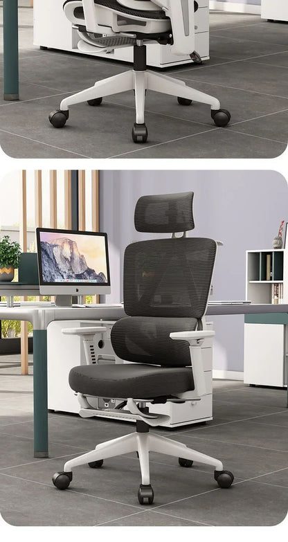 Comfortable Ergonomic Study Chairs Home Office Chair Adjustable Sedentary Not Tired Bureaustoel Household and Office Supplies