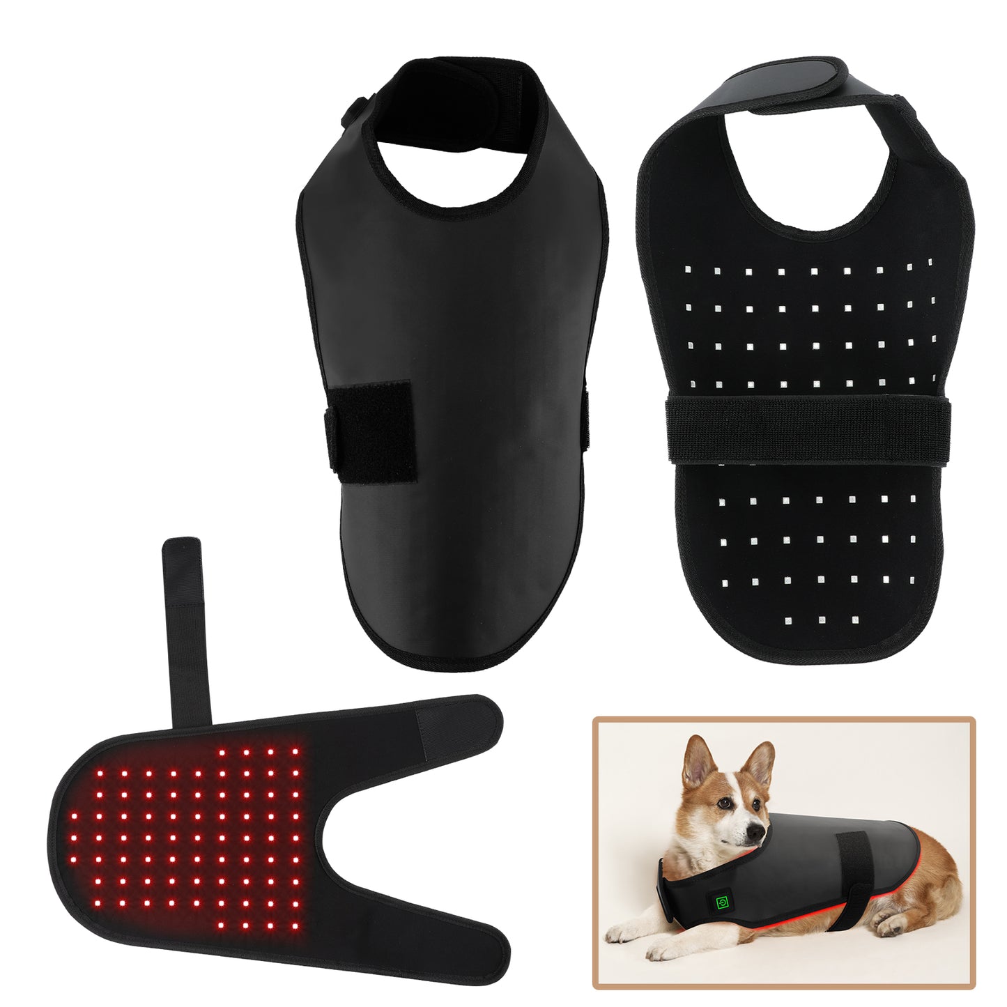 Equipamento de fisioterapia com LED de luz vermelha para uso veterinário, para alívio e redução da dor em cães de estimação.