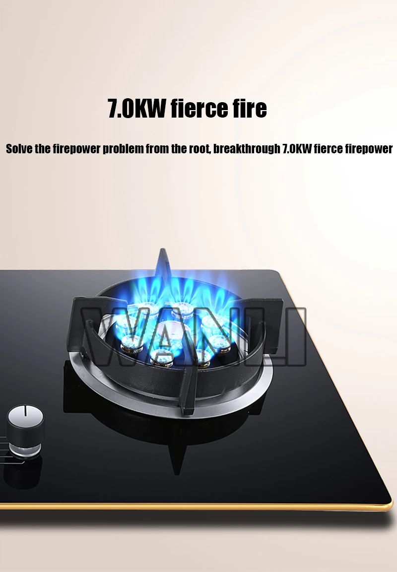Desktop 220v Household Built-in Electric Dual-purpose Gas Stove Induction Cooker Natural Gas/Liquefied Petroleum Gas Single-burn