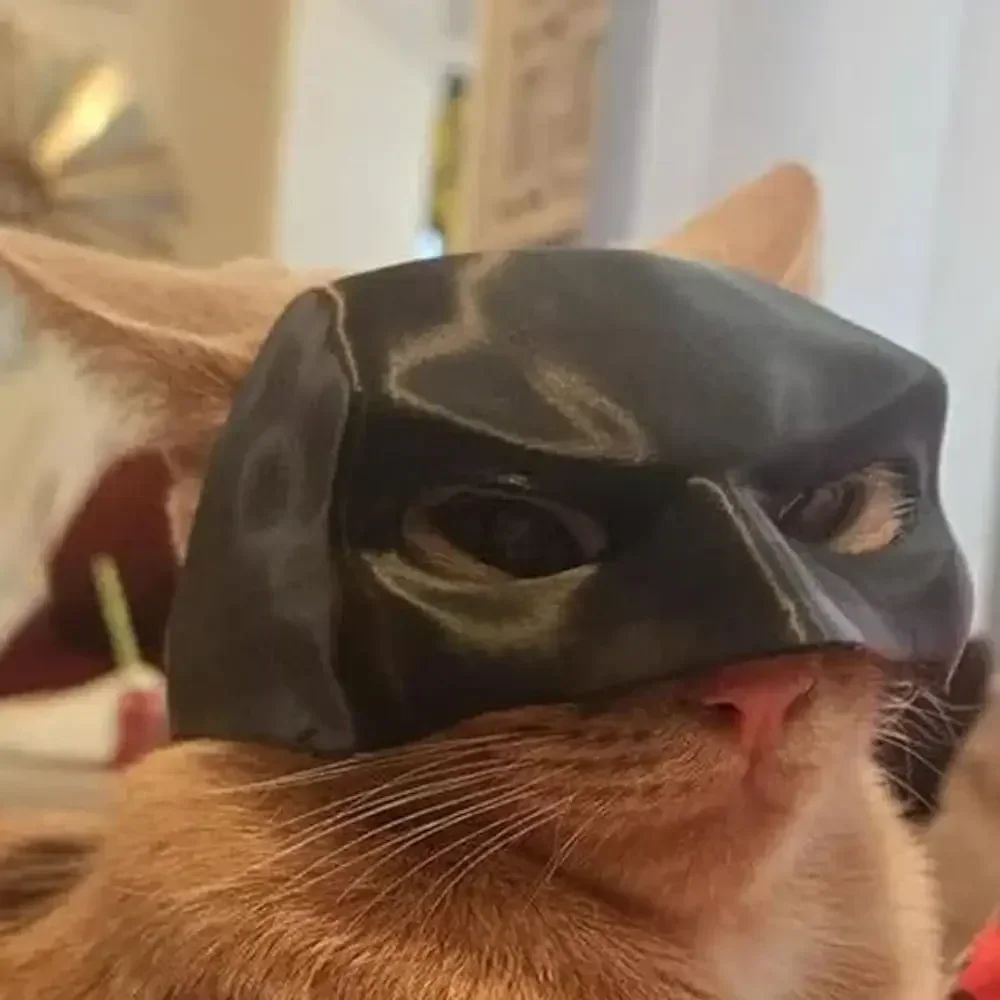 2026-Bat Cat Avenger Mask Black Matte Bat Mask Superhero Pet Toys Cat Bat Pet Man Mask for Cat and Dogs Spooky Make-up Party Toy