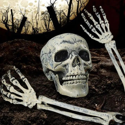 Halloween Realistic Skull Skeleton Head Human Hand Arms for Halloween Party Home Garden Lawn Halloween decor Skeleton Stakes