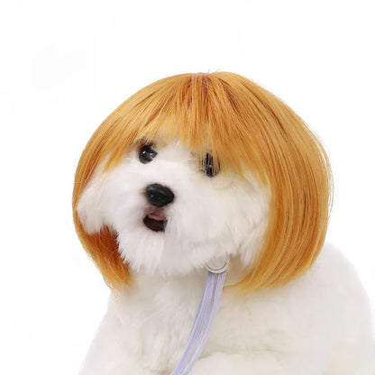 Peruca para Animais de Estimação, Peruca para Cachorro, Suprimentos para Animais de Estimação, Acessórios de Halloween para Animais de Estimação, Peruca de Cabelo Cacheado, Cabelo Liso, Peruca para Gato, Pode Ser Aparada (DIY)