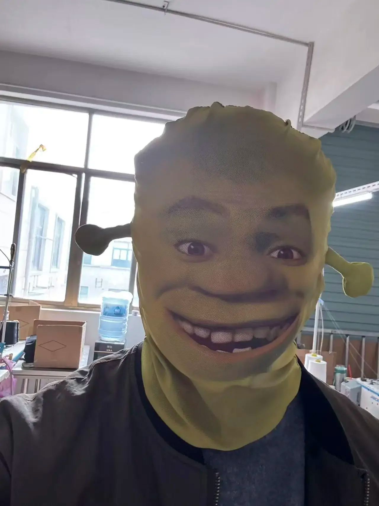 ?Shrek?3D Full Face Mask, Breathable, Party Funny Headgear Mask