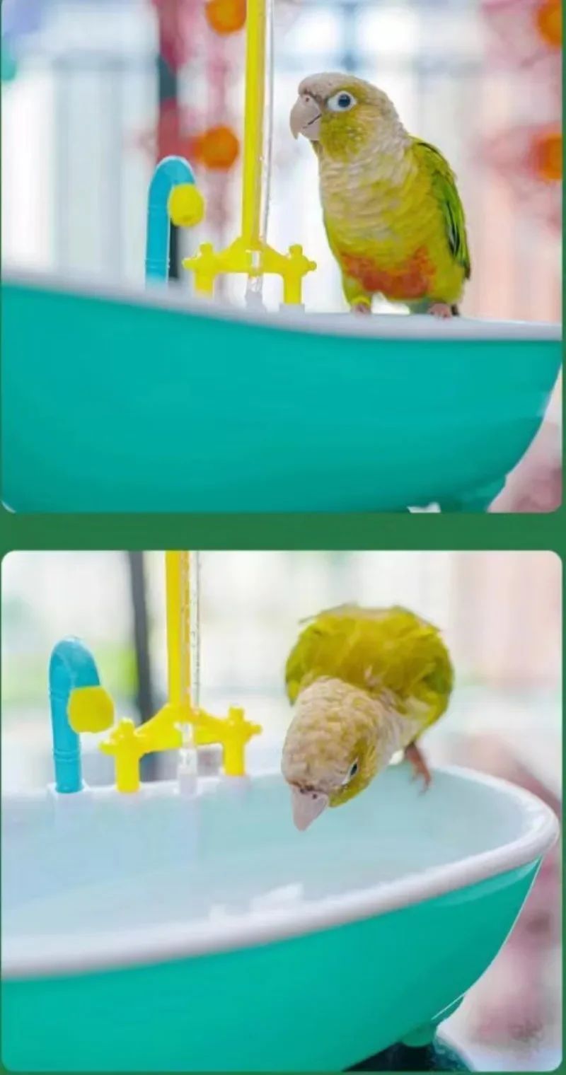 Banheira de Pássaro Papagaio Chuveiro Gaiola Automática Tigela de Chuveiro para Papagaios Acessórios de Pássaros Brinquedo de Papagaio Banheira de Pássaro