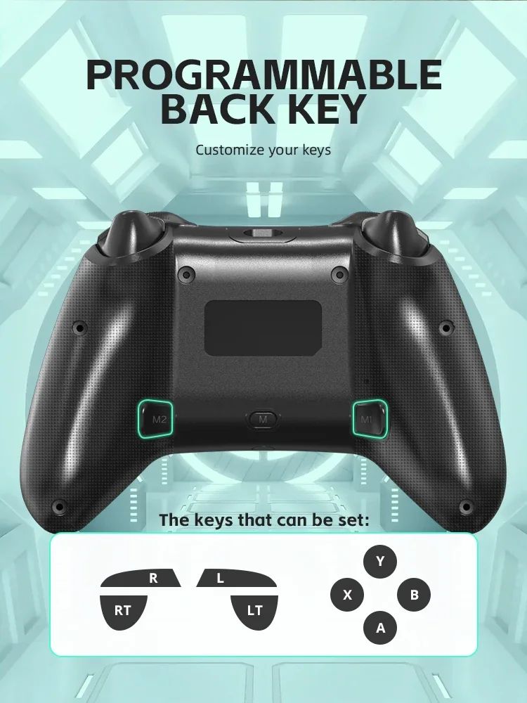 DATA FROG Turbo Programmable Wireless Pro Gamepad Compatible With Switch OLED LITE PC Android