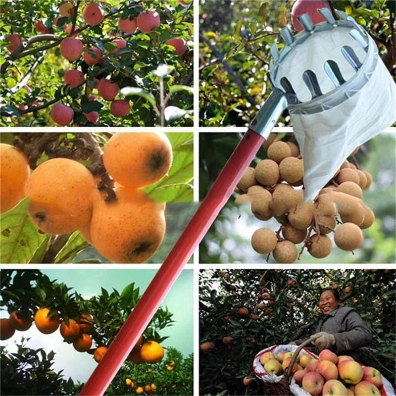 Farm Fruit Picker Garden Orchard Peach Apple Tall Tree Picker Metal Picker Collection Bag Autumn Harvest Convenience Tool