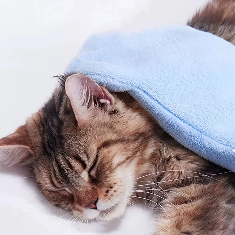 Luvas de Banho de Secagem Rápida para Cães Luvas de Higiene para Pets Multicores Macias com Estampa de Patinha para Cães e Gatos, Essenciais para Banho e Secagem