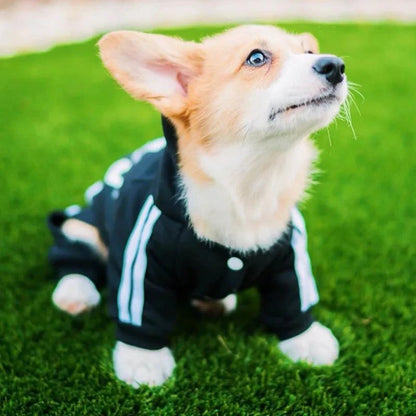 Roupas para animais de estimação Macacão para cães filhotes de buldogue francês Chihuahua Pug Roupas para cães pequenos e médios Roupinhas para filhotes