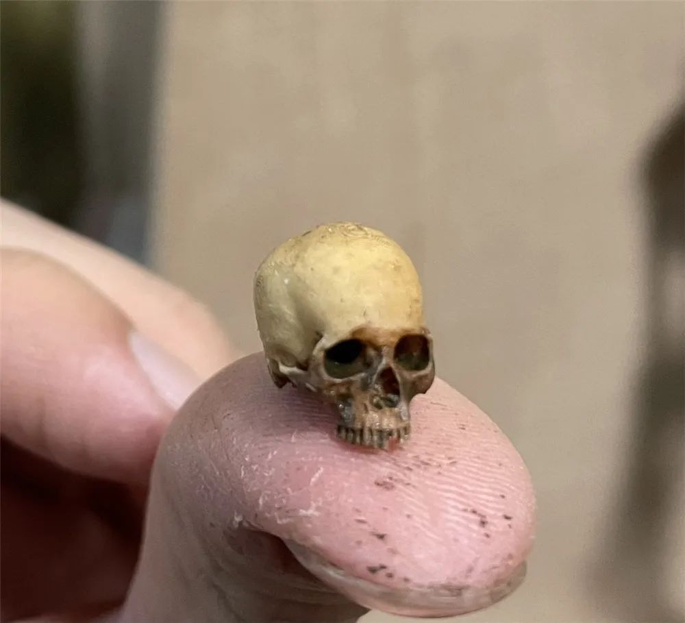 Mini Skull High Quality Miniature Model for Halloween Home Decor Dollhouse Plant Fish Tank Decoration
