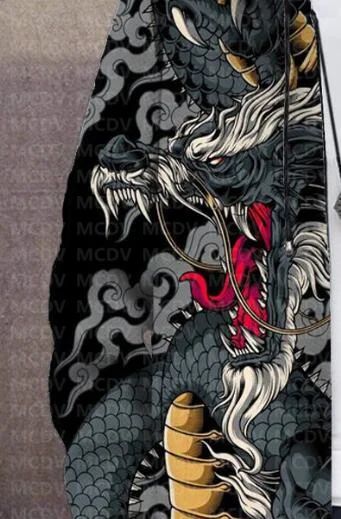 Men's Retro Print Plush Thick Long-Sleeved Coat Cardigan Dragon 3D Prined Fleece Hooded Overcoat Unisex Thick Warm Jacket