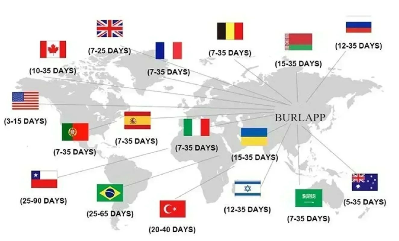 Amazing Spider Man Black T Shirt Men 2025 Summer Marvel Comics Cotton Tee Vintage Wham Logo Print Back Cover Design Chest