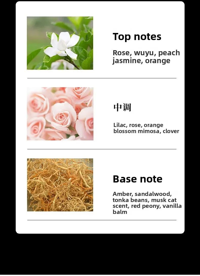 Coco feminino cooc perfume feminino fragrância duradoura fragrância leve perfume para encontros do Festival Qixi Miss Coco