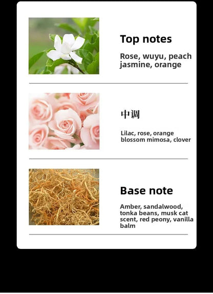Coco feminino cooc perfume feminino fragrância duradoura fragrância leve perfume para encontros do Festival Qixi Miss Coco