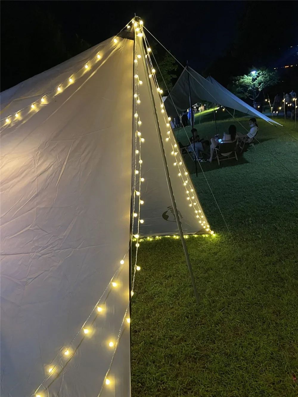 LED Bubble Ball String Lights Golden Glow Battery Operated Indoor Fairy Lights for Wedding Holidays New Year 2026 Decorations