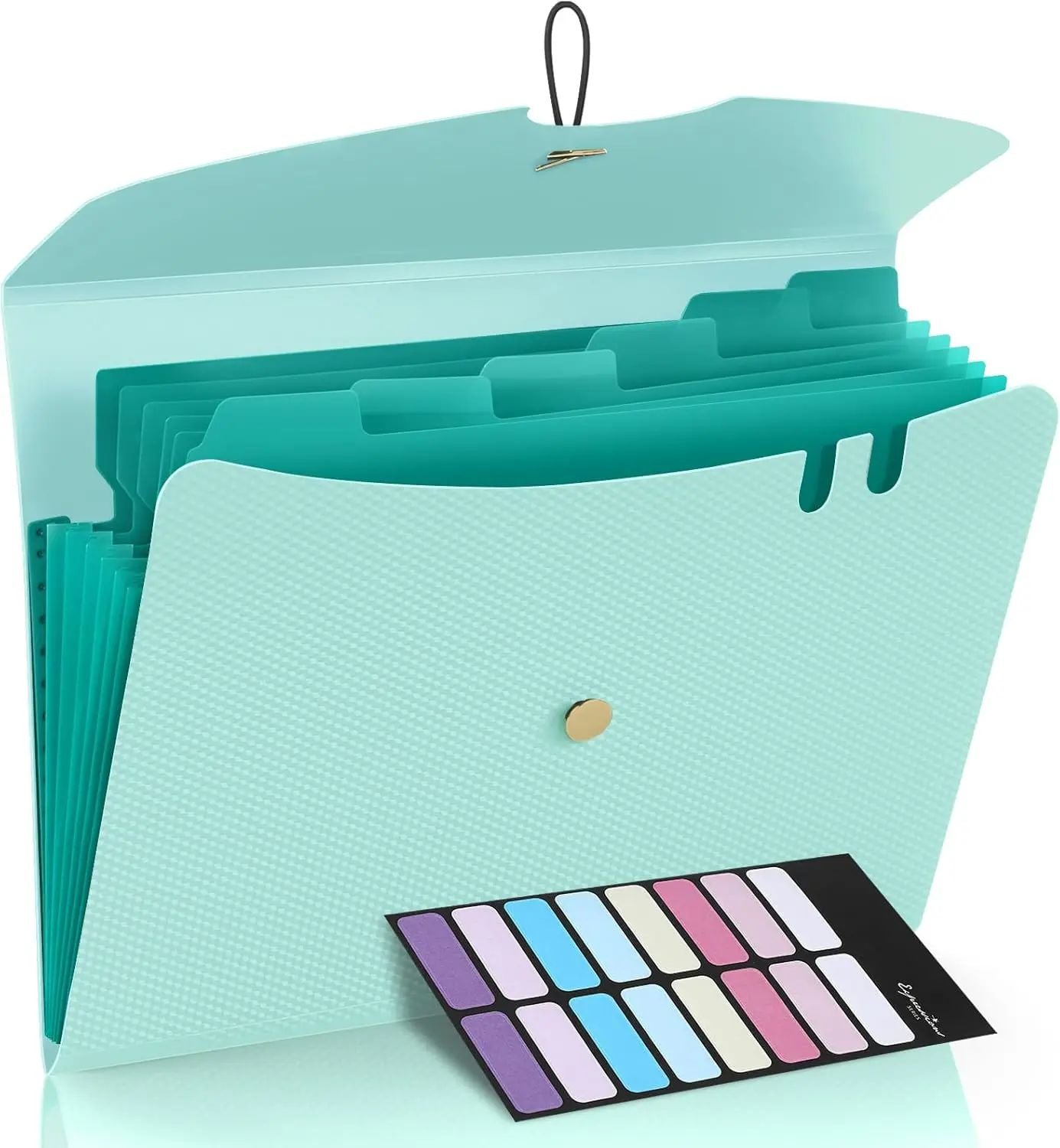 Expandable File Folder, Letter Size Organ Organizer, 5 File Pockets, Portable Organizer for School Office Supplies