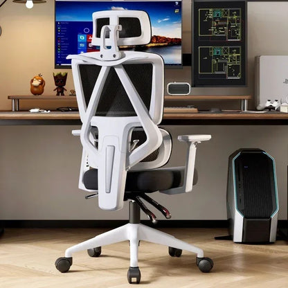 Comfortable Ergonomic Study Chairs Home Office Chair Adjustable Sedentary Not Tired Bureaustoel Household and Office Supplies