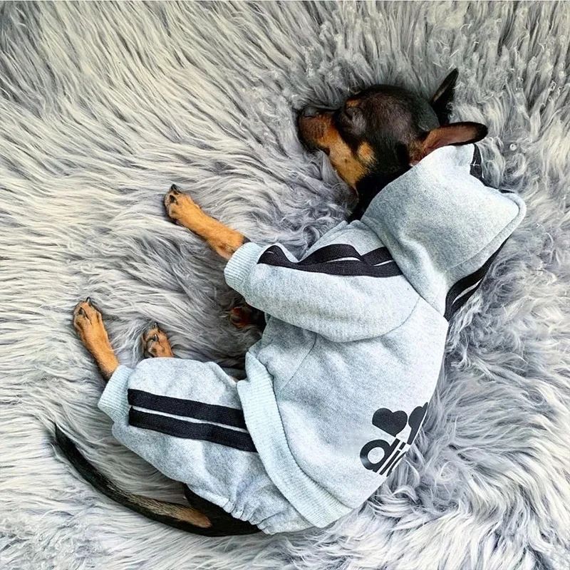 Roupas para animais de estimação Macacão para cães filhotes de buldogue francês Chihuahua Pug Roupas para cães pequenos e médios Roupinhas para filhotes
