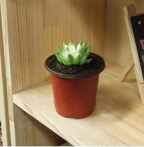 Flowerpot Plastic Grow Box Fall Resistant Tray For Home Garden Plants Nursery Cup Transplant Flower Plant Pots D4