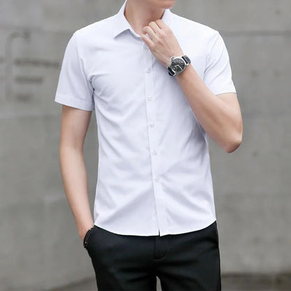 Summer Short Sleeve Men's Dress Shirt Anti-Wrinkle Easy Care Workwear Formal Business Suit Shirt for Sales Professional