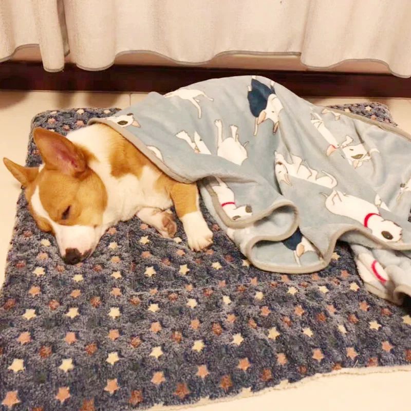 Tapete para Animais de Estimação Espessado Outono/Inverno Canil Quente Manta para Gatos/Cães Tapete Antiderrapante de Flanela Macia de Algodão para Cães Pequenos e Grandes