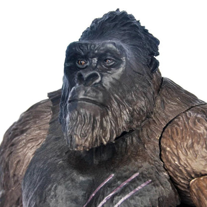 14CM 2021 King Kong Vs Godzilla Action Figure Modelo de Filme Articulações Móveis Chimpanzés Gojira Figma Brinquedos Para Crianças Presentes