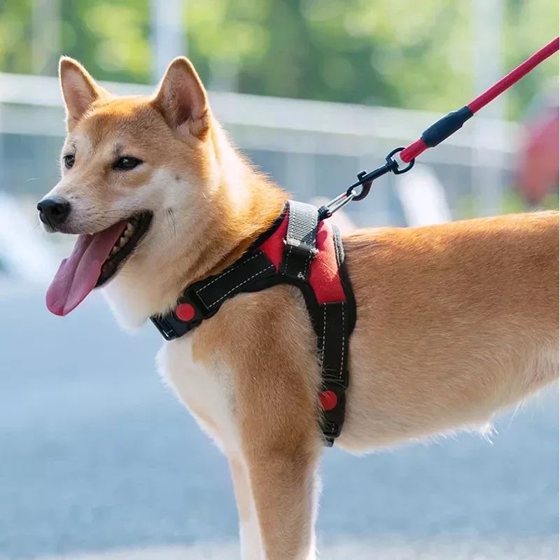 Colete Ajustável para Cães Pequenos e Grandes, Guia Forte de 150cm para Cães, Coleira Refletiva, Para Arrasto e Puxada