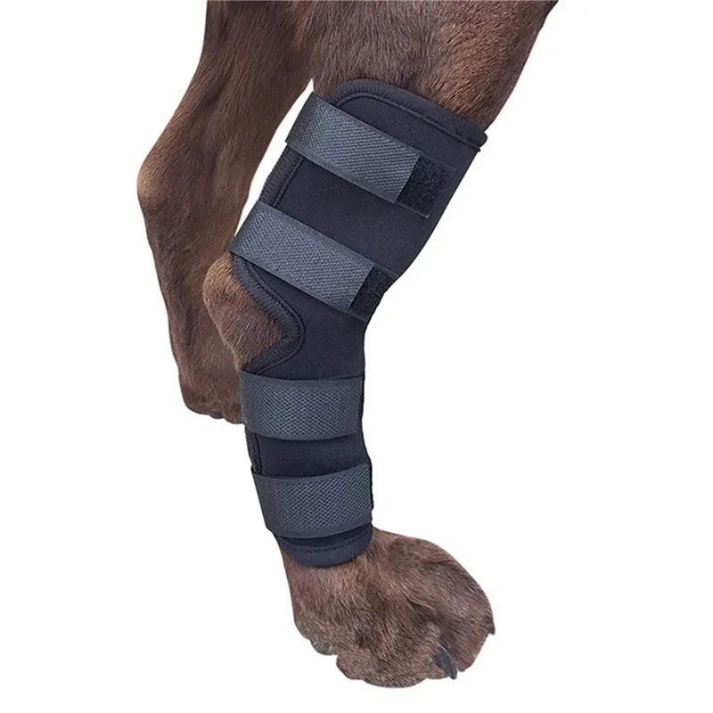 1 par de joelheiras de suporte para animais de estimação – Protetores de articulação de jarrete para recuperação de lesões e proteção da mobilidade de cães