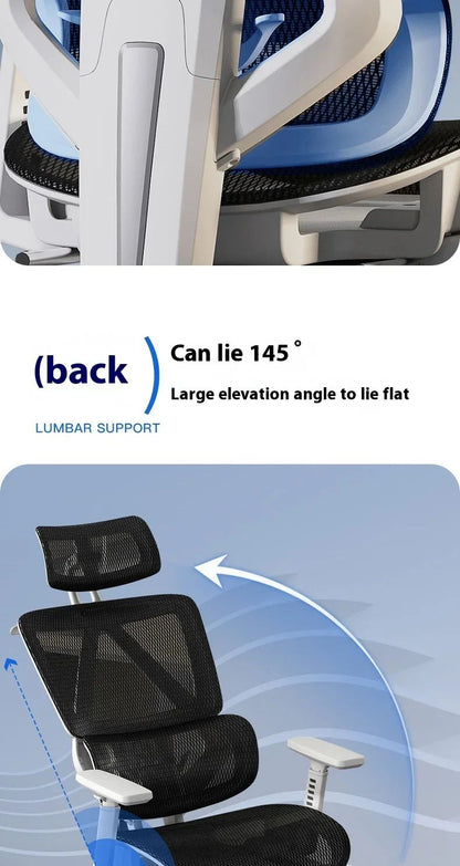 Comfortable Ergonomic Study Chairs Home Office Chair Adjustable Sedentary Not Tired Bureaustoel Household and Office Supplies