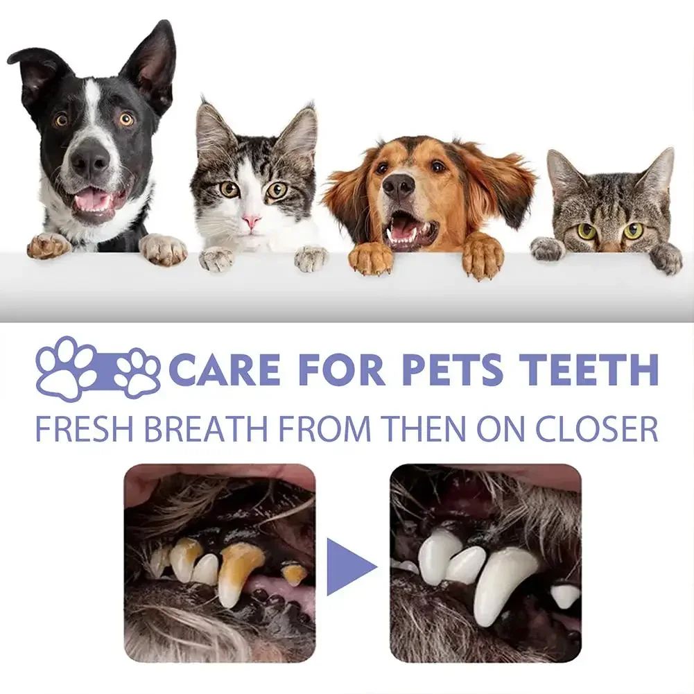 Spray de Limpeza Dental para Pets Previne Tártaro e Mau Hálito em Gatos e Cães Remove o Tártaro e Mantém o Hálito Fresco Desodorização Spray para Cuidados Bucais de Pets