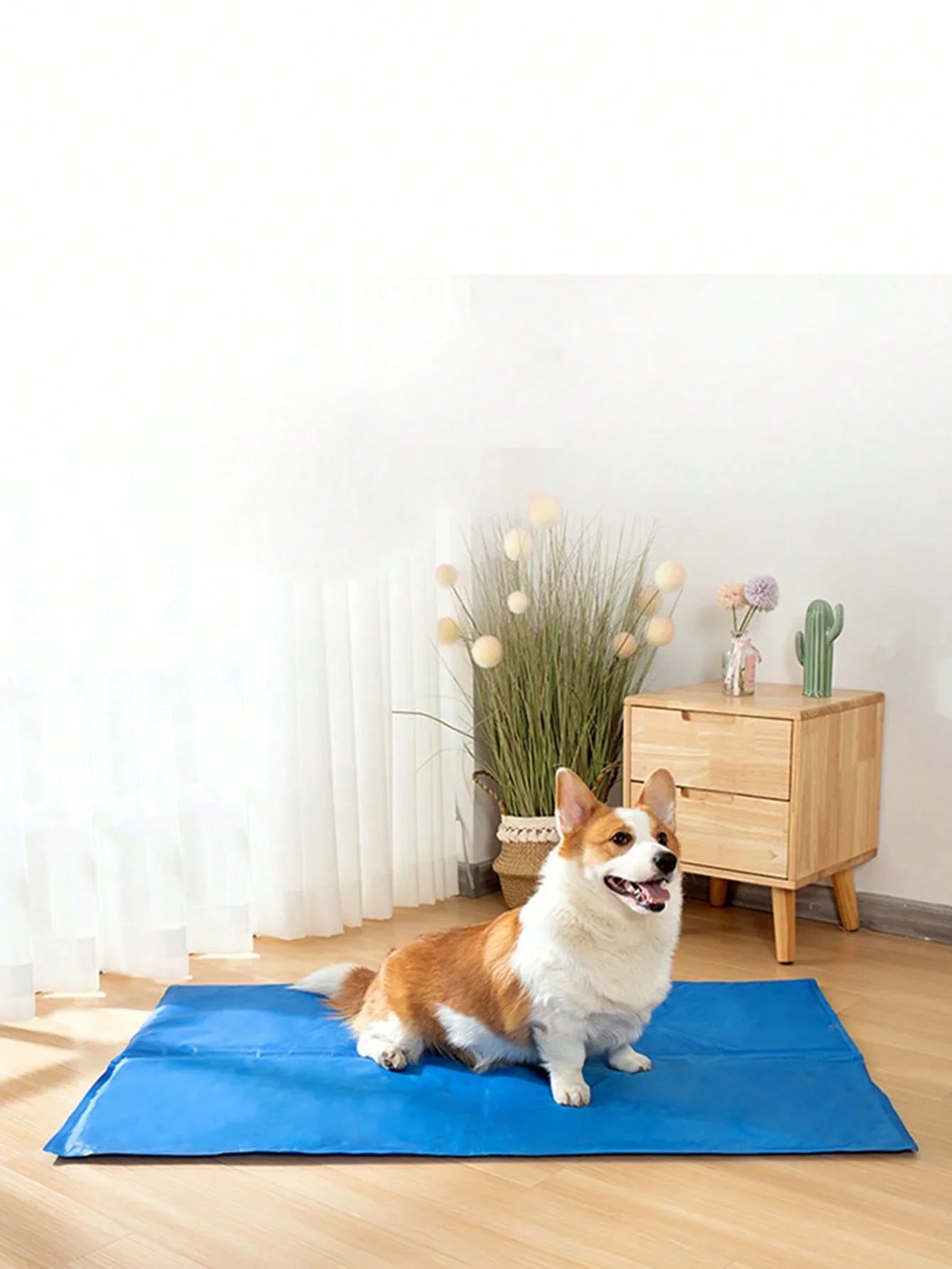 1 unidade - Nova Almofada de Gelo para Animais de Estimação Cães Gatos Verão Cooler Sleeping Pad Resistente ao Desgaste Refrigeração Alívio do Calor Esponja Gel Refrescante Suprimentos para Animais de Estimação