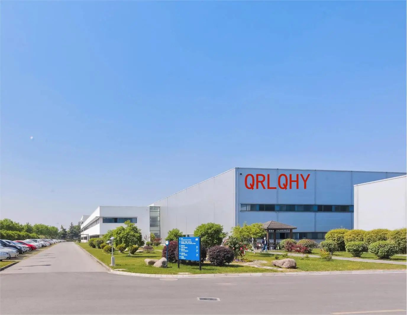 Women’s Pattern Canvas Sneakers  Casual Flat Lace-Up Shoes Zapatillas Mujer Chaussure Femme