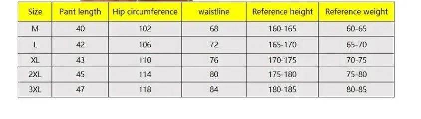 Men'S Summer Letter Print Jogger Shorts 2-In-1 Double Layer Quick Dry Fitness Training Running Beach Sports Pants